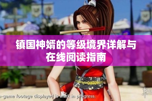 镇国神婿的等级境界详解与在线阅读指南