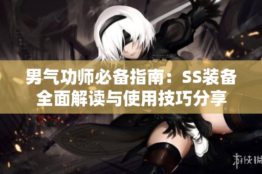 男气功师必备指南：SS装备全面解读与使用技巧分享
