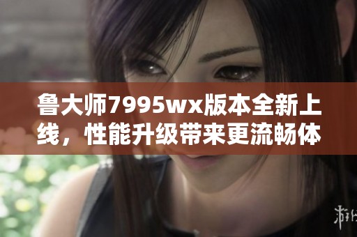 鲁大师7995wx版本全新上线，性能升级带来更流畅体验