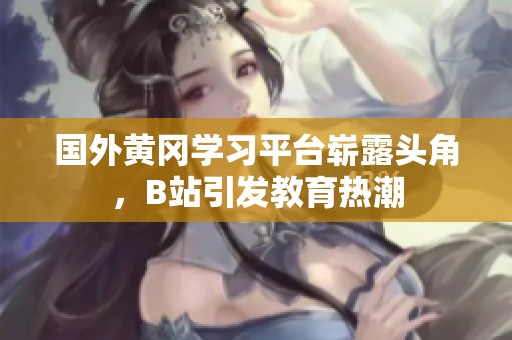 国外黄冈学习平台崭露头角，B站引发教育热潮