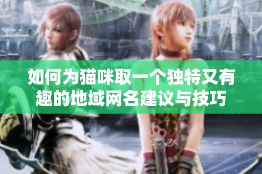 如何为猫咪取一个独特又有趣的地域网名建议与技巧