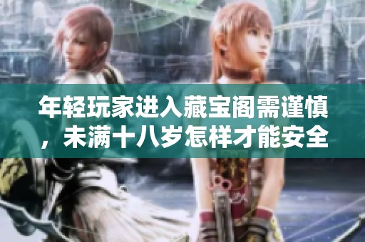 年轻玩家进入藏宝阁需谨慎，未满十八岁怎样才能安全浏览
