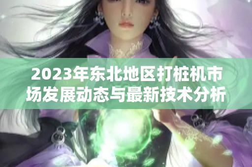 2023年东北地区打桩机市场发展动态与最新技术分析