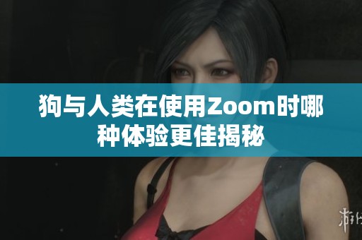 狗与人类在使用Zoom时哪种体验更佳揭秘