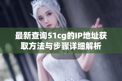 最新查询51cg的IP地址获取方法与步骤详细解析