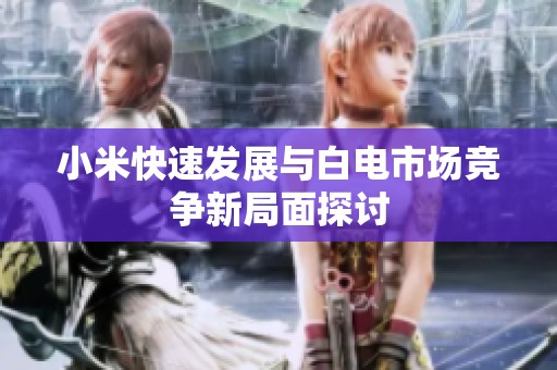 小米快速发展与白电市场竞争新局面探讨