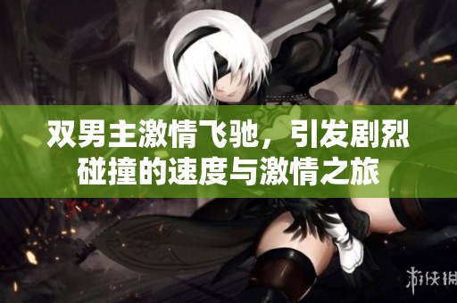 双男主激情飞驰，引发剧烈碰撞的速度与激情之旅