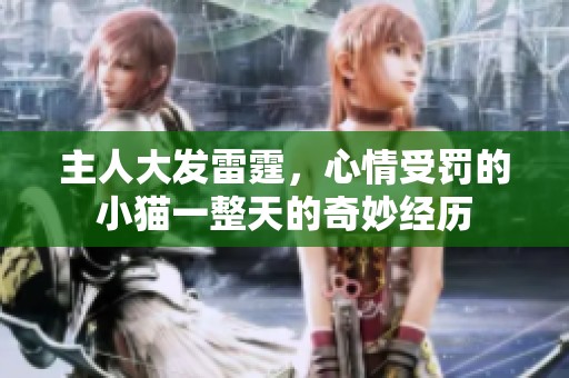 主人大发雷霆，心情受罚的小猫一整天的奇妙经历
