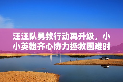 汪汪队勇救行动再升级，小小英雄齐心协力拯救困难时刻