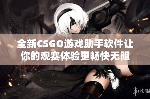 全新CSGO游戏助手软件让你的观赛体验更畅快无阻