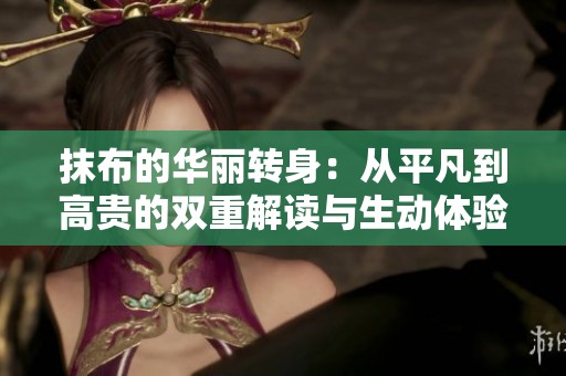 抹布的华丽转身：从平凡到高贵的双重解读与生动体验