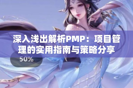 深入浅出解析PMP：项目管理的实用指南与策略分享