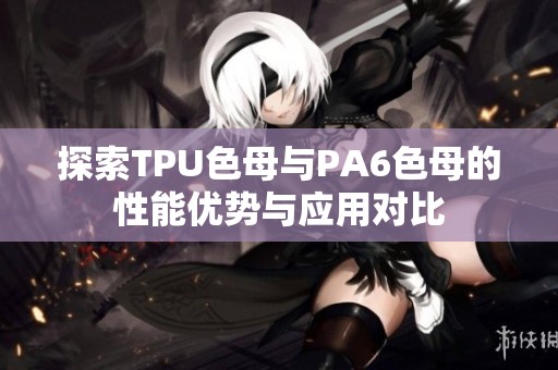 探索TPU色母与PA6色母的性能优势与应用对比