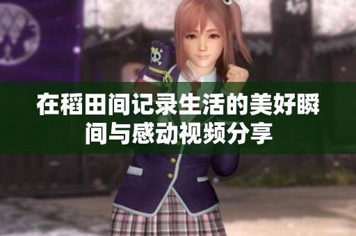 在稻田间记录生活的美好瞬间与感动视频分享