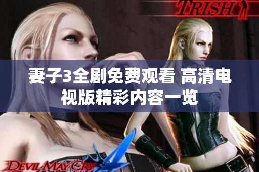 妻子3全剧免费观看 高清电视版精彩内容一览