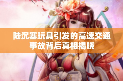 陆沉塞玩具引发的高速交通事故背后真相揭晓