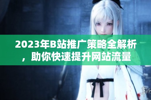 2023年B站推广策略全解析，助你快速提升网站流量
