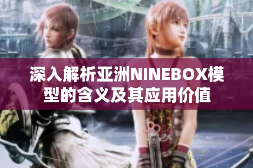 深入解析亚洲NINEBOX模型的含义及其应用价值
