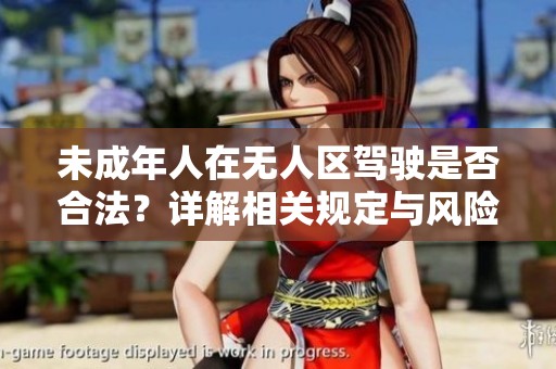 未成年人在无人区驾驶是否合法？详解相关规定与风险分析