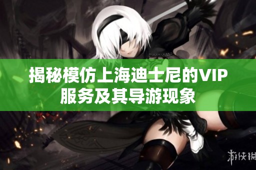 揭秘模仿上海迪士尼的VIP服务及其导游现象
