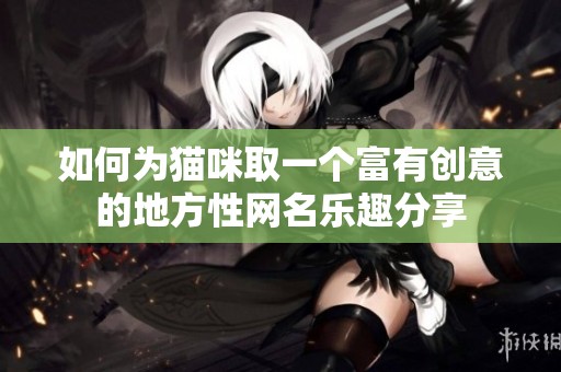 如何为猫咪取一个富有创意的地方性网名乐趣分享