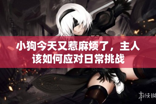 小狗今天又惹麻烦了，主人该如何应对日常挑战