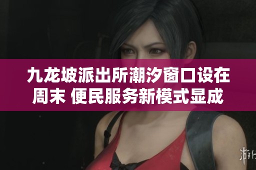 九龙坡派出所潮汐窗口设在周末 便民服务新模式显成效