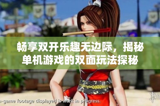 畅享双开乐趣无边际，揭秘单机游戏的双面玩法探秘