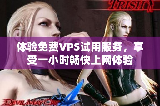 体验免费VPS试用服务，享受一小时畅快上网体验