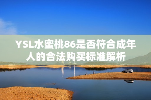 YSL水蜜桃86是否符合成年人的合法购买标准解析