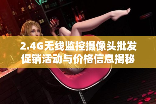2.4G无线监控摄像头批发促销活动与价格信息揭秘
