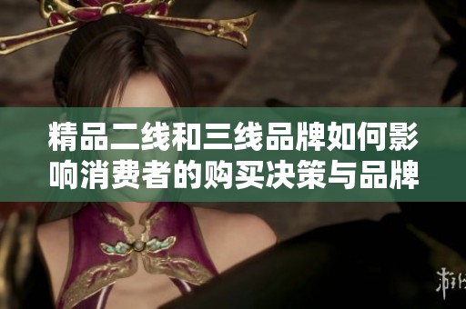 精品二线和三线品牌如何影响消费者的购买决策与品牌认知