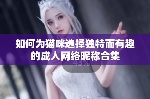 如何为猫咪选择独特而有趣的成人网络昵称合集