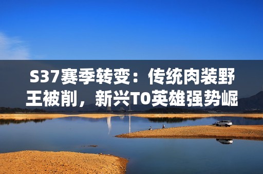 S37赛季转变：传统肉装野王被削，新兴T0英雄强势崛起