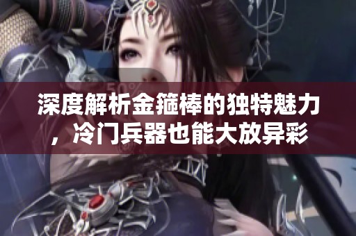 深度解析金箍棒的独特魅力，冷门兵器也能大放异彩