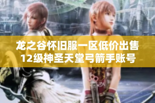 龙之谷怀旧服一区低价出售12级神圣天堂弓箭手账号