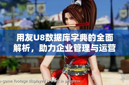 用友U8数据库字典的全面解析，助力企业管理与运营效率提升