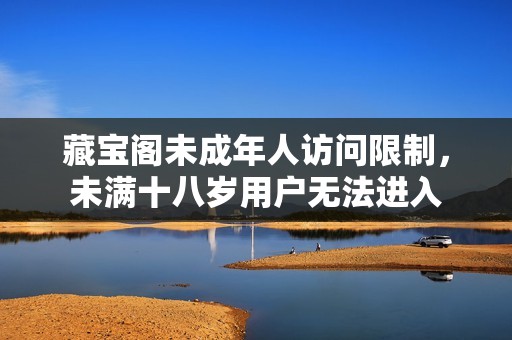藏宝阁未成年人访问限制，未满十八岁用户无法进入