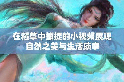 在稻草中捕捉的小视频展现自然之美与生活琐事