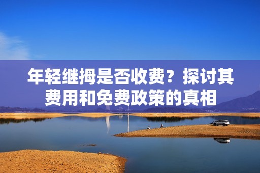 年轻继拇是否收费？探讨其费用和免费政策的真相