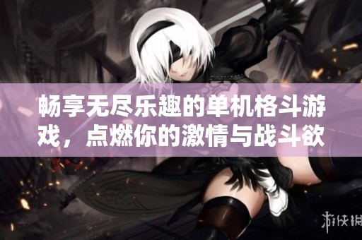 畅享无尽乐趣的单机格斗游戏，点燃你的激情与战斗欲望