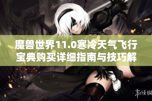 魔兽世界11.0寒冷天气飞行宝典购买详细指南与技巧解析