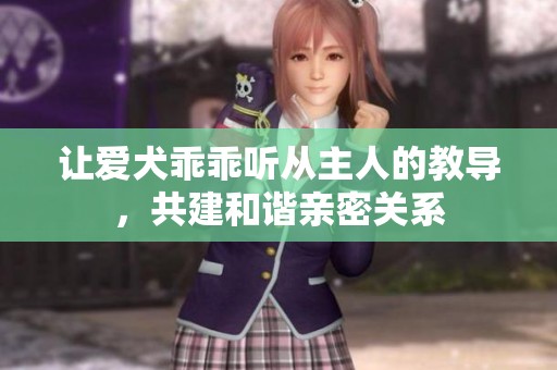 让爱犬乖乖听从主人的教导，共建和谐亲密关系