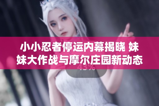 小小忍者停运内幕揭晓 妹妹大作战与摩尔庄园新动态解析