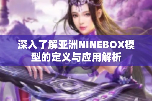 深入了解亚洲NINEBOX模型的定义与应用解析