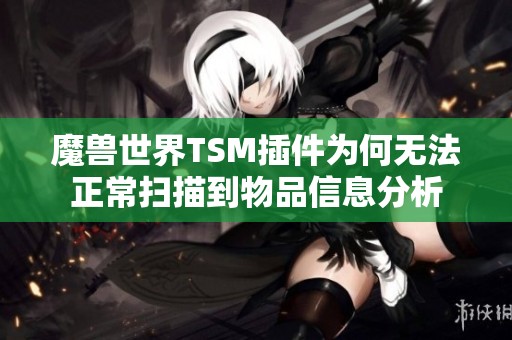 魔兽世界TSM插件为何无法正常扫描到物品信息分析