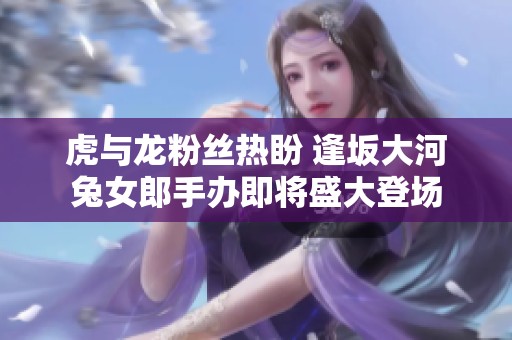 虎与龙粉丝热盼 逢坂大河兔女郎手办即将盛大登场