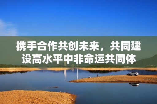 携手合作共创未来，共同建设高水平中非命运共同体