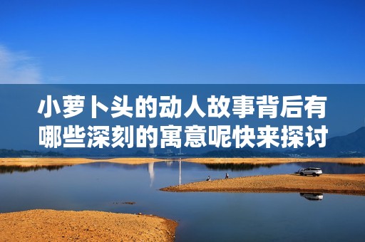 小萝卜头的动人故事背后有哪些深刻的寓意呢快来探讨！