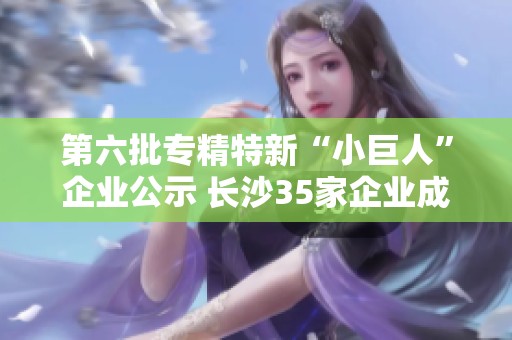 第六批专精特新“小巨人”企业公示 长沙35家企业成功入围